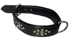 Dog Collars & Dog Leads