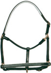 Leather and PP Halters