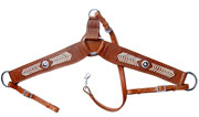Western breastplates
